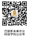党的建设