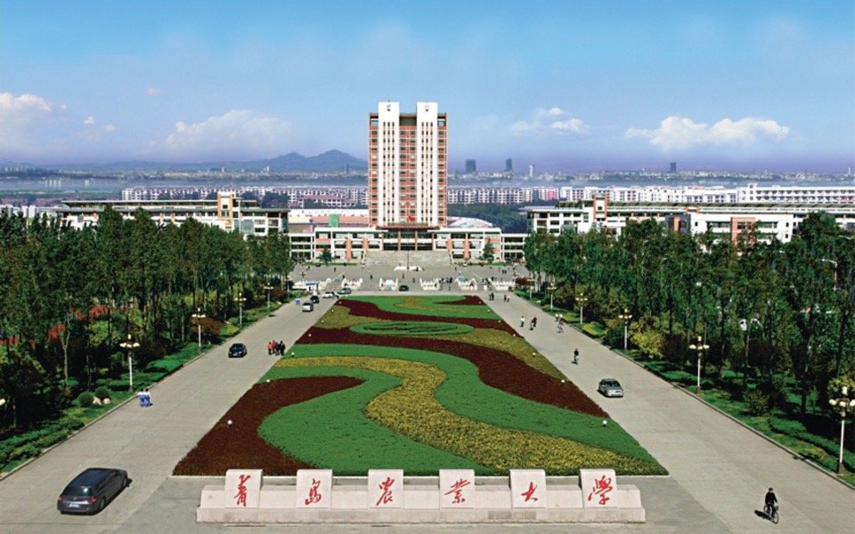 走进英皇