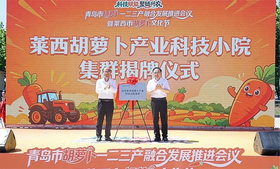 星空体育Xingkong在线登录入口