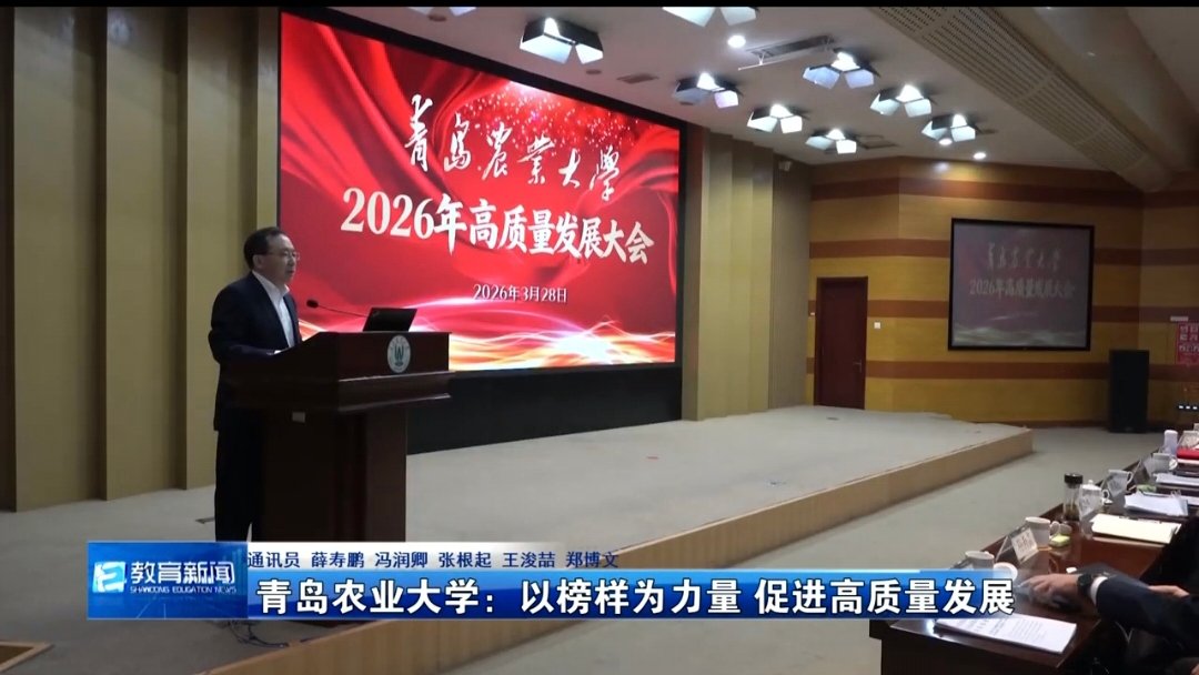 报道了星空体育Xingkong在线登