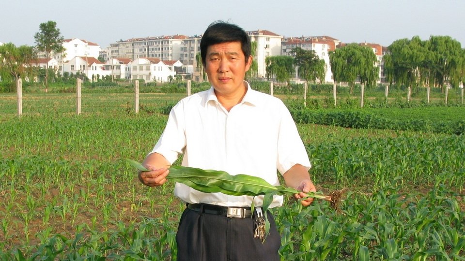 再按需打开相关阅读
