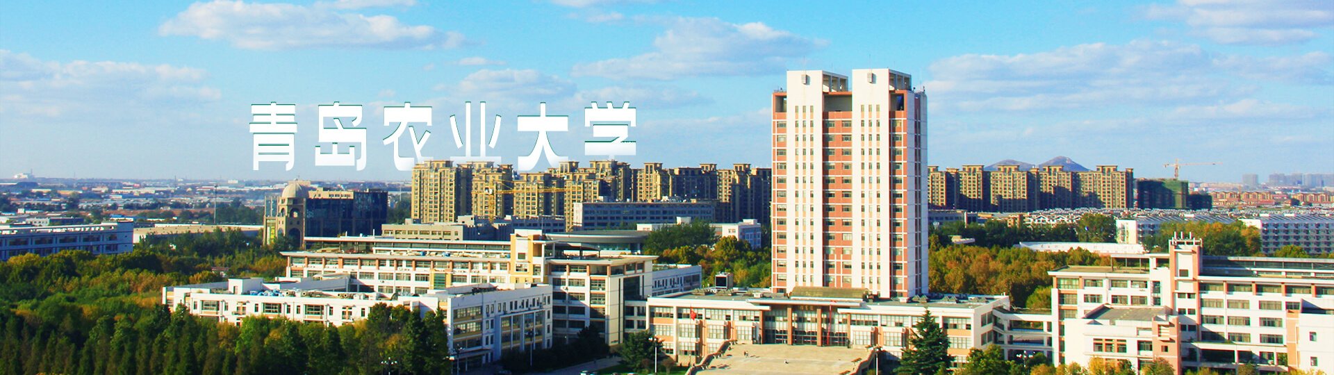 选考科目