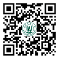结合人工智能图像重建技术