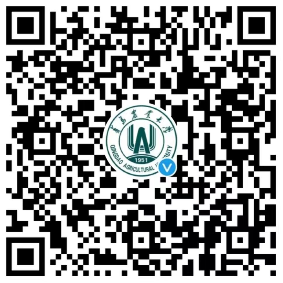 2025-02