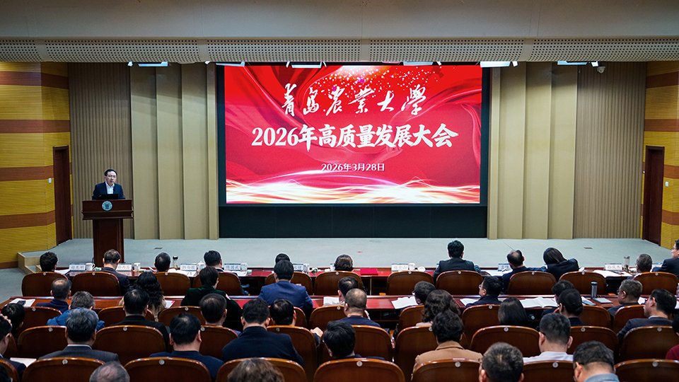 创新性地将摩擦纳米发电机引入电化学发