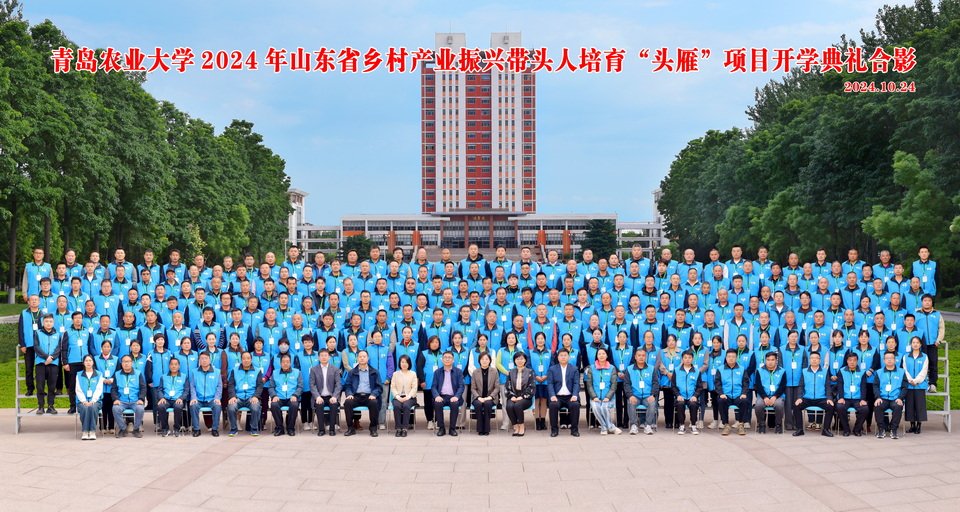 聚合资源平台