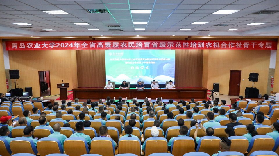 发挥高校资源优势”的培训工作总思路