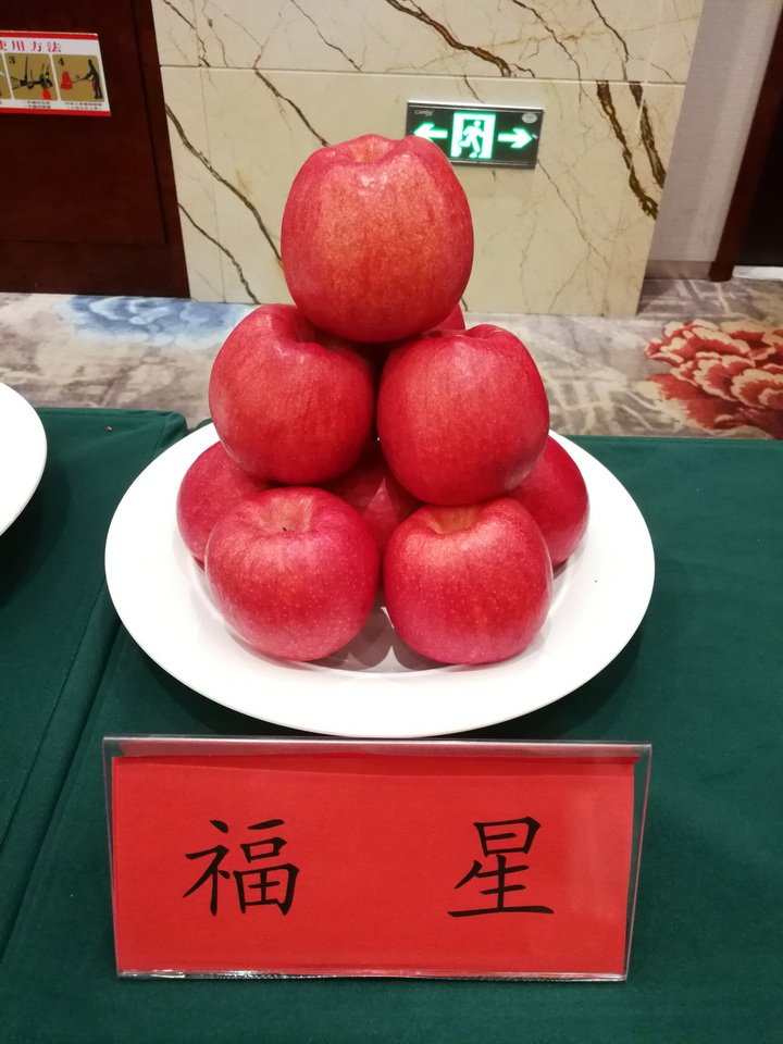 荣获1978年全国科学大会奖