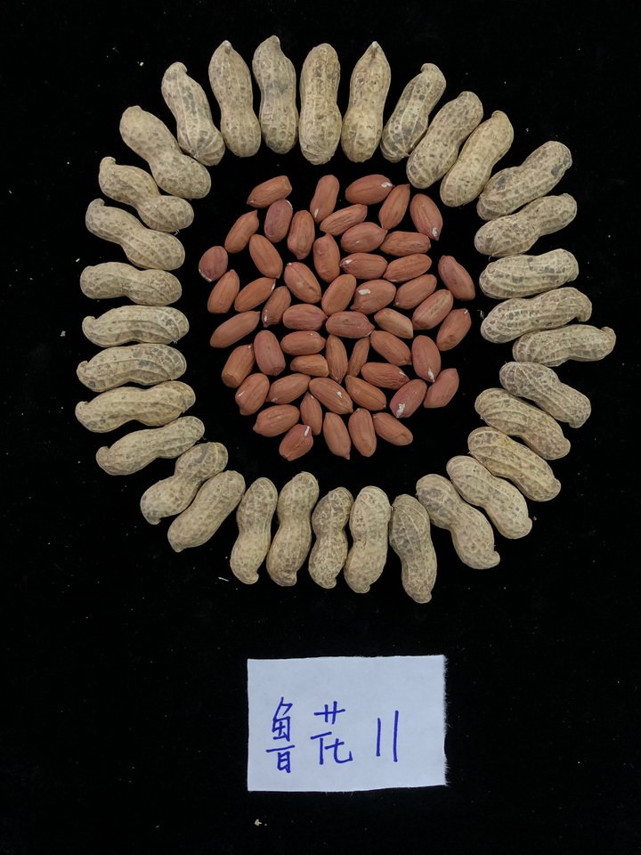 星空体育Xingkong在线登录入口
