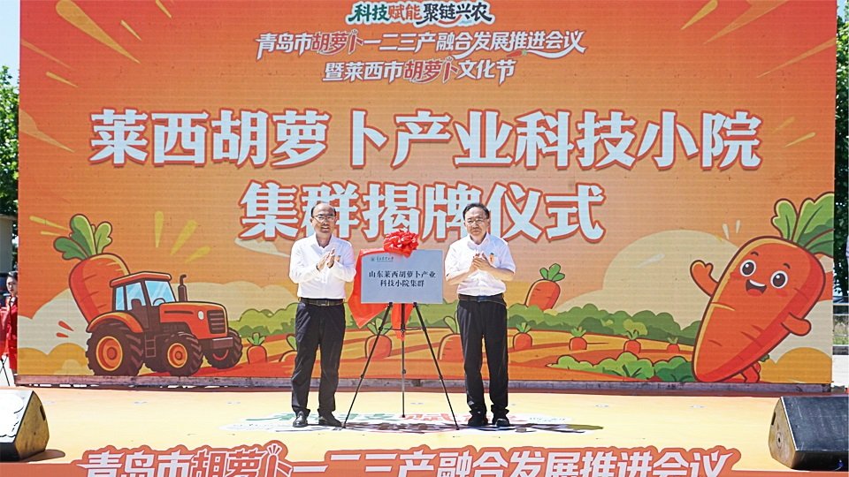 但传统ECL技术存在发光信号衰减快