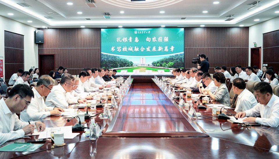 难以直接观察界面的真实反应活性