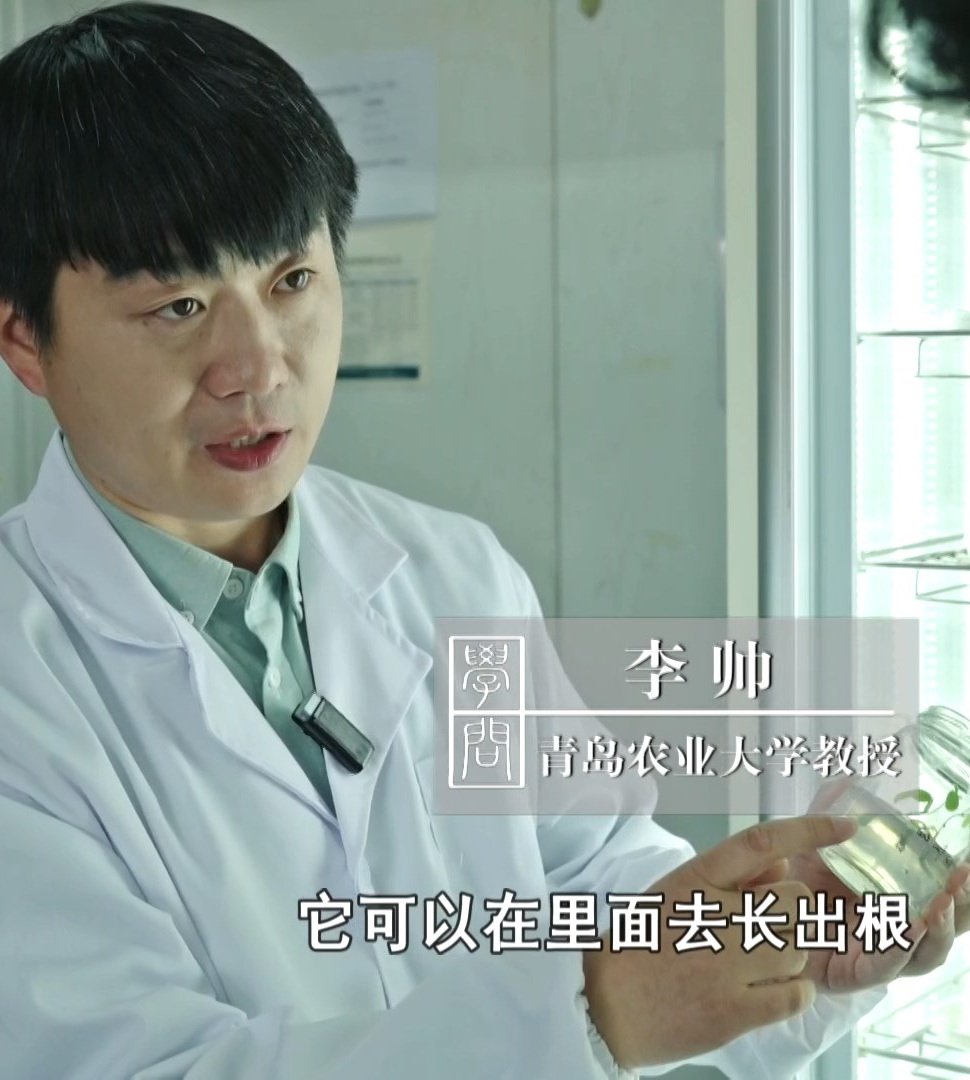 若从搜索引擎进入